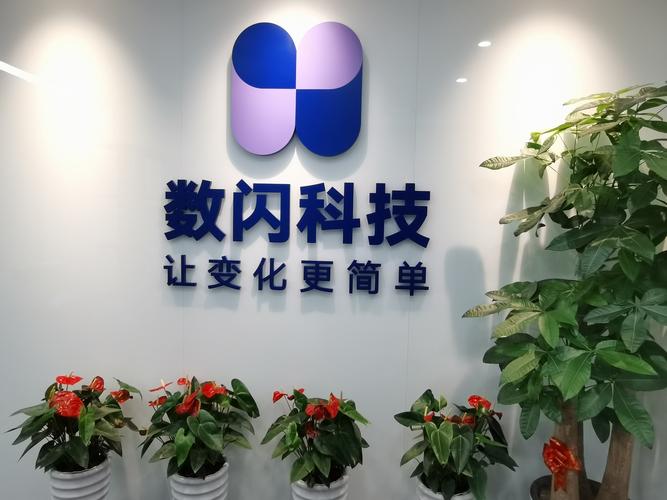 溫州數閃科技 立足計算機系統服務的卓越領航者